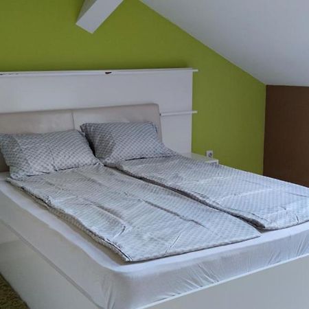 Hysteria Central Flat Oradea Exteriör bild